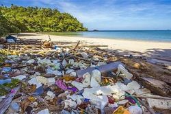 Phục hồi du lịch gắn với bảo vệ môi trường