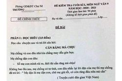 Xung quanh việc giáo viên sử dụng ví dụ 'nhạy cảm' khi ra đề ngữ văn