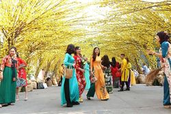TP. HCM: Hấp dẫn 'Lễ hội Tết Việt 2021'
