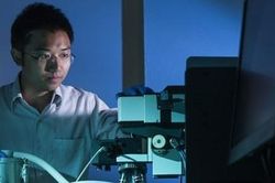 Australia tài trợ nhóm nghiên cứu người Việt phát triển pin Mặt trời thế hệ mới