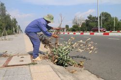 Hàng loạt cống thoát nước trên Quốc lộ 56 trơ hố sâu do bị tháo nắp