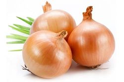 Vì sao tuyệt đối không được để hành tây trong tủ lạnh?