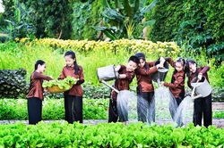 Để trẻ hiểu thêm về Tết cổ truyền