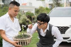 Nam Marboro và cơ duyên với nghề trồng phong lan