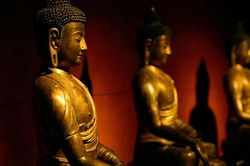 Khái niệm xả trong Phật giáo Nguyên Thủy