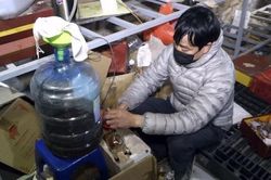 Hà Nội: Triệt phá cơ sở sản xuất rượu giả đóng chai hình con giáp
