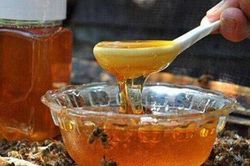 Uống mật ong nếu có 1 trong 6 dấu hiệu này cần dừng ngay kẻo hối hận
