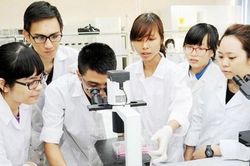Phát triển nhóm nghiên cứu mạnh - cần 'bà đỡ'