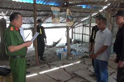 Bắt đối tượng bao chiếm đất, hủy hoại tài sản của người khác ở Phú Quốc