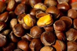 Loại hạt 'thần thánh' chữa bách bệnh nhưng ít người biết
