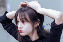 Tất cả những bộ phim, chương trình có sự góp mặt của Trịnh Sảng đều có nguy cơ bị gỡ bỏ
