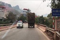 Sơn La: Hàng trăm xe quá tải vô tư 'diễu hành' trên Quốc lộ 6