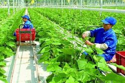 Cách mạng 4.0 đòi hỏi lao động Việt phải 'nâng cấp'