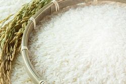 Giá lúa, gạo diễn biến ổn định trong phiên ngày 10/1