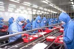 Doanh nghiệp sản xuất trước nỗi lo tăng chi phí đầu vào