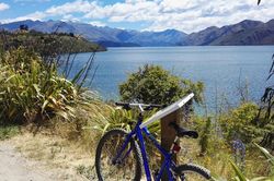 Bài dự thi cuộc thi 'New Zealand - Bật mí trăm điều thú vị': Mùa Hè thiên đường ở Auckland