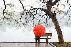 Những nốt mùa đông