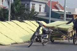 Khi thực phẩm bị phủ bụi!