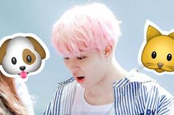 Tại sao Jimin BTS có biệt danh là 'Puppy Kitty'?