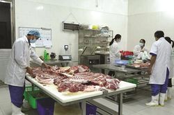 Cơ hội phát triển bền vững ngành chăn nuôi