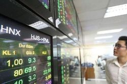 VN-Index bật tăng gần 30 điểm, cổ phiếu lớn, nhỏ tràn ngập sắc xanh