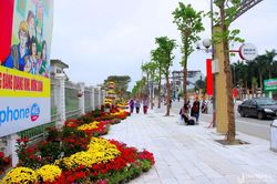 Thành phố Vinh xây dựng nhiều tuyến đường hoa đón Xuân Tân Sửu