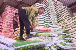 Cung ứng 133 tấn vật tư nông nghiệp trả chậm cho hội viên nông dân