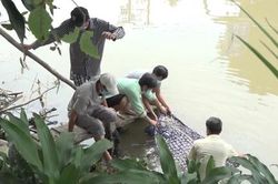 Người dân phát hiện ông bán vé số dạo chết trôi dưới sông