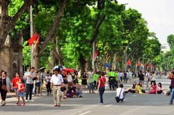 Thư gửi robot Citizen: Đánh thức 'những đêm hoa sữa thơm nồng'