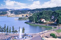 Đến 'thành phố ngàn hoa'