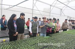 Khánh thành mô hình nhà ươm cây giống tại huyện Mai Sơn