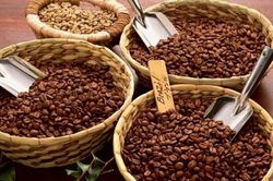 Giá cà phê hôm nay 24/1: Đồng loạt giảm 200 đồng/kg