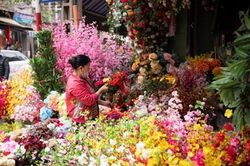 Phố Hàng Mã nhộn nhịp chuẩn bị đón Tết