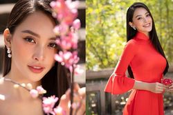 Hoa hậu Tiểu Vy đẹp 'gây mê' trong tà áo dài Tết