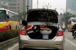 Những khoảnh khắc giao thông hài hước, 'bá đạo'