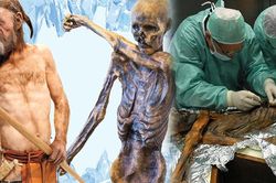 Bí mật không ngờ, hé lộ từ xác ướp 5.000 năm tuổi vùi trên núi cao