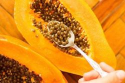 7 tác dụng trị bệnh hữu hiệu của hạt đu đủ