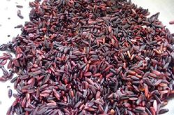 Tác dụng không ngờ của gạo nếp cẩm bạn chưa biết
