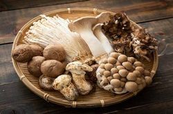 Tác dụng của nấm với não bộ ai cũng nên biết