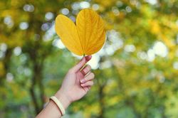 Nắng ở đâu đẹp nhất?