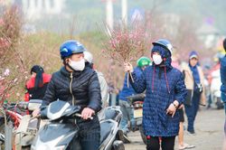 Chợ hoa lớn nhất Hà Nội nhộn nhịp trước thềm Tết Nguyên đán 2021