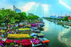 Làm mới Chợ hoa xuân 'Trên bến dưới thuyền' tại TP Hồ Chí Minh