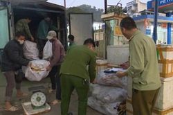 1,3 tấn sản phẩm động vật bốc mùi hôi thối chuẩn bị giao cho nhà hàng