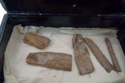 Phát hiện báu vật của Đại kim tự tháp Giza trong... hộp xì gà