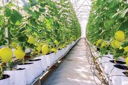 Xây dựng doanh nghiệp xuất khẩu mạnh