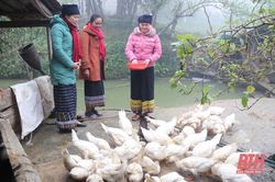 Khởi sắc vùng biên Bát Mọt