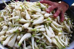 Giá thực phẩm hôm nay 27/1: Giá rau củ, thực phẩm đi ngang