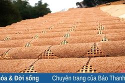 Bánh đa làng Chòm