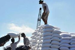 Việt Nam chi hơn 853,6 triệu USD để nhập khẩu đường