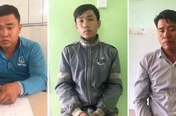 'Chỉ điểm' cho đồng bọn cướp tài sản của dì ruột